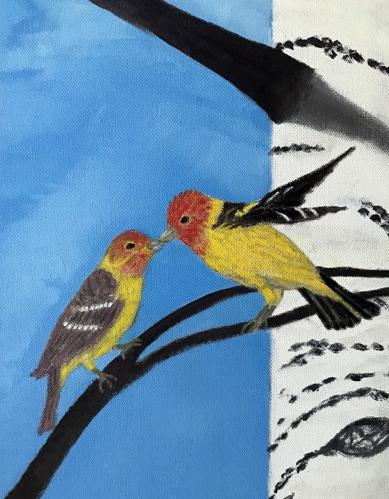 WESTERN TANAGER PAIR