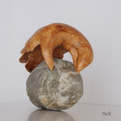 Stone Pangolin by Roland Köpfer