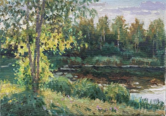 Evening light