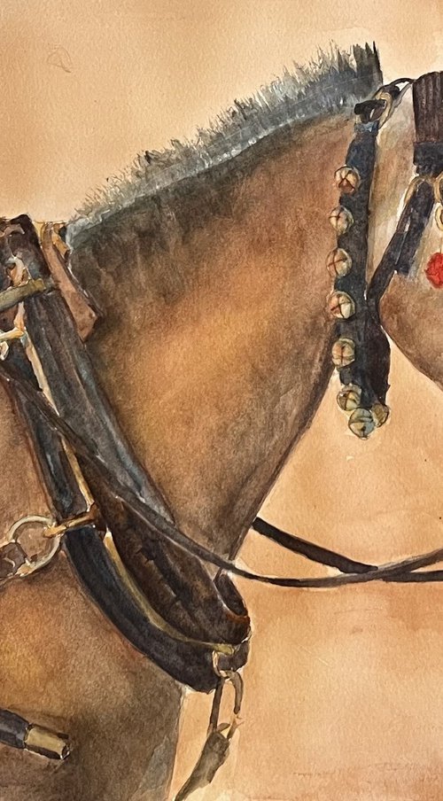 Carriage Horse by Bronwen Jones