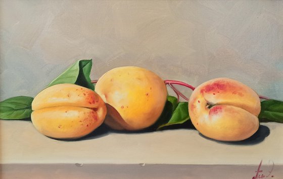 Still life with apricot (20x30cm, oil painting, ready to hang)