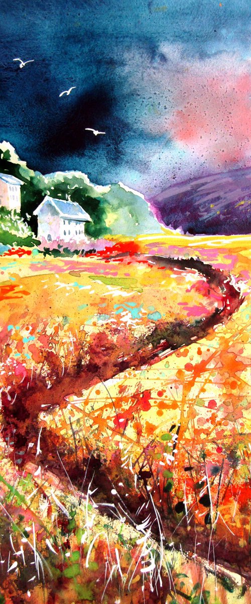 Tuscany after rain by Kovács Anna Brigitta