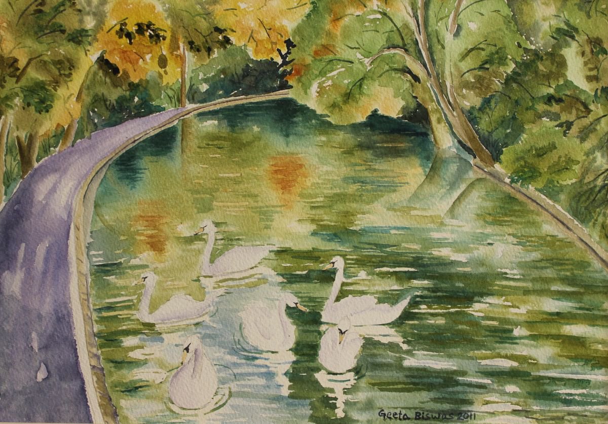 Swan in Rye park, watercolor, painting by Geeta Yerra