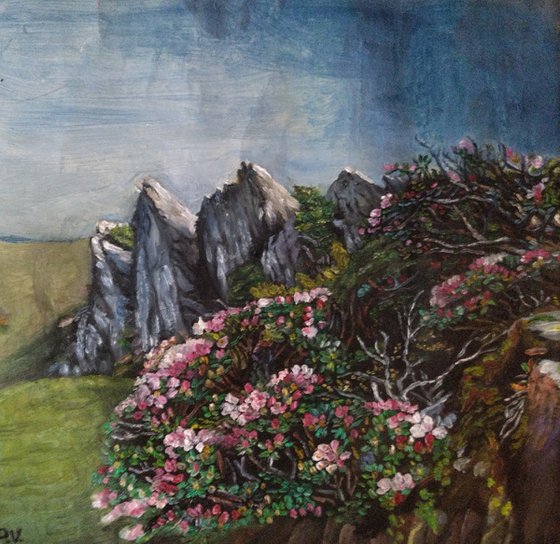 Landscape