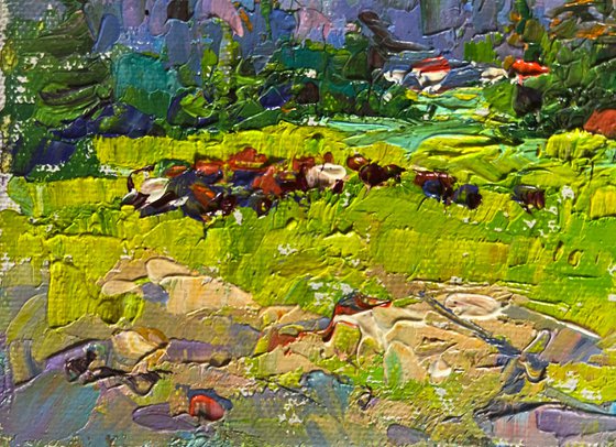 Mountains bathed in summer sun
