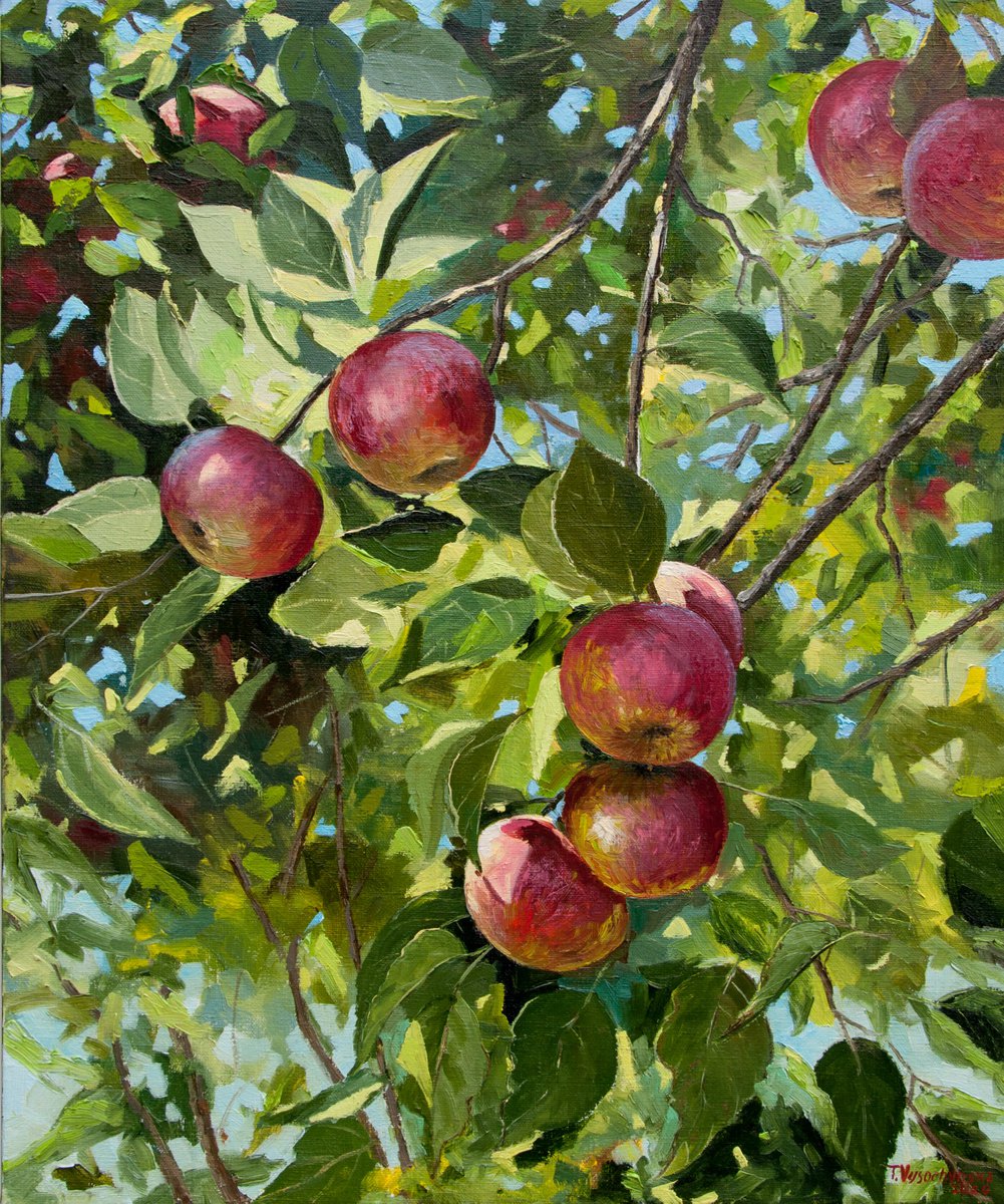 Apples. Oil painting. Original Art. 20 x 24in by Tetiana Vysochynska