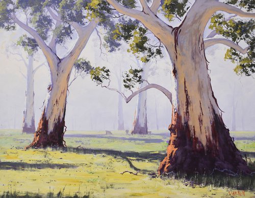 Yan Yean Gum trees, Vic by Graham Gercken