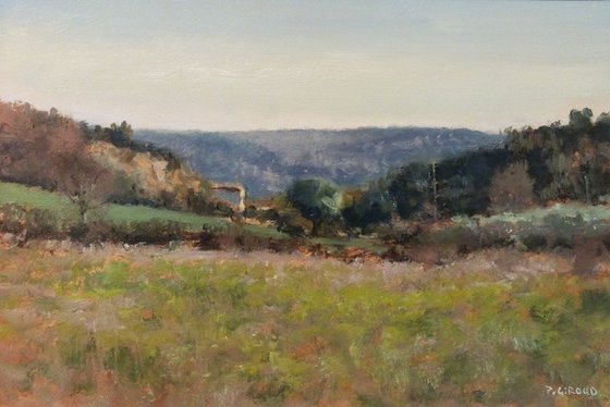 Olive Trees at Chateauneuf