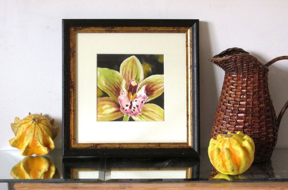 a painting a day #44 " spring cymbidium orchid "