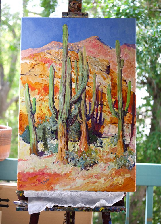 Saguaro Cactuses and Desert Rocks