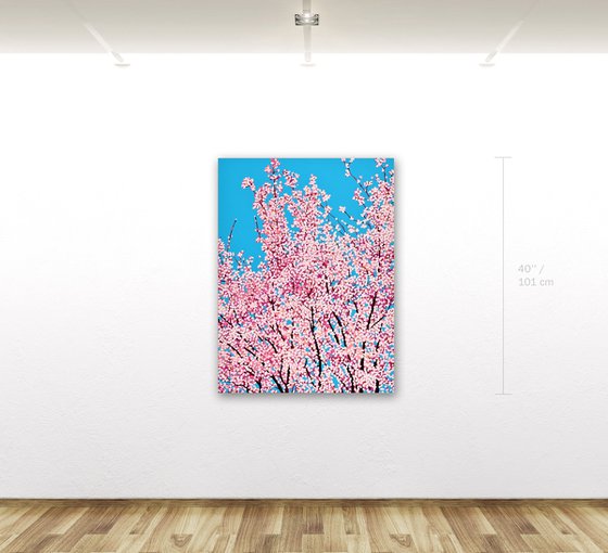Cherry Blossom #9