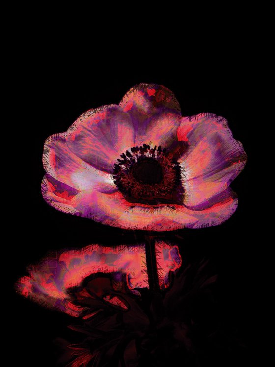 Tres flores rosa