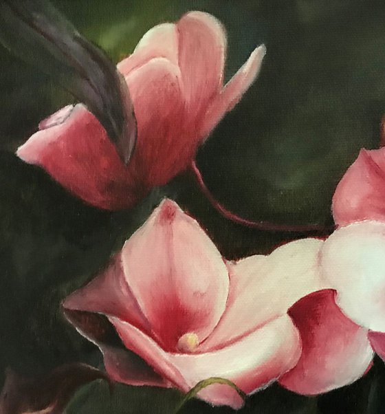 Pink Impatiens Flower Original Oil Painting, Mothers Day Gift