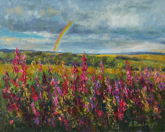Rainbow Over Sunny Fields