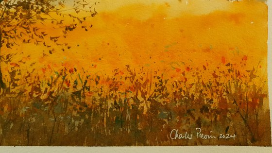 Barns at Sunset with Golden Fields