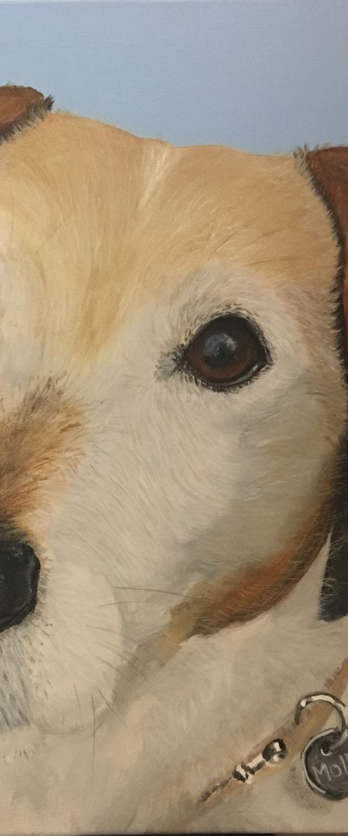 MOLLY - JACK RUSSELL by ELAINE ASKEW