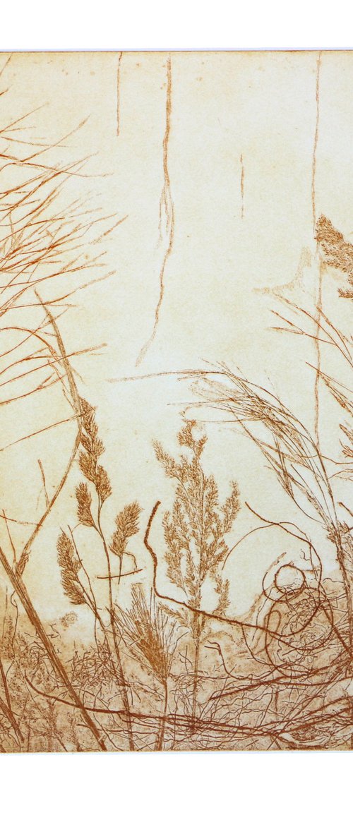 Heike Roesel "Grasses", fine art etching in variation, edition of 10 by Heike Roesel