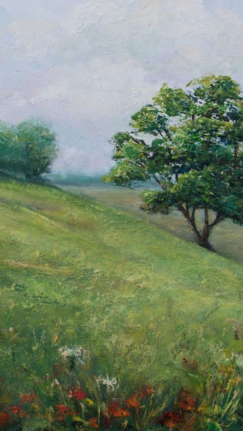 Hillside walk by Ruth  Aslett