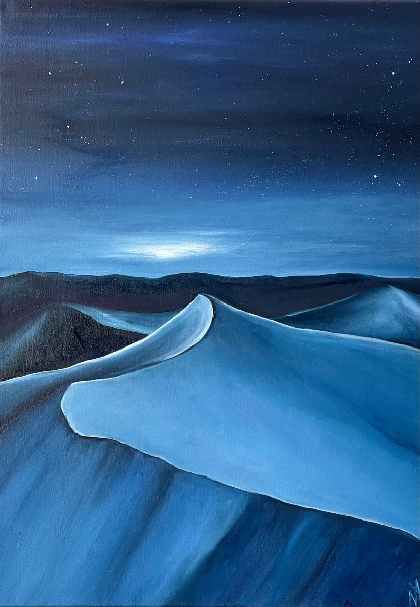 Expressive Landscape Oil Painting By Anastasiia Novitskaya, 20 X 28, Night In The Desert, Original Artwork