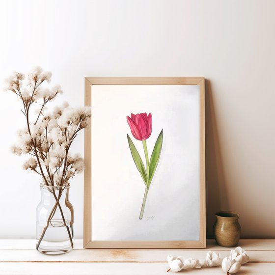 Pink tulip