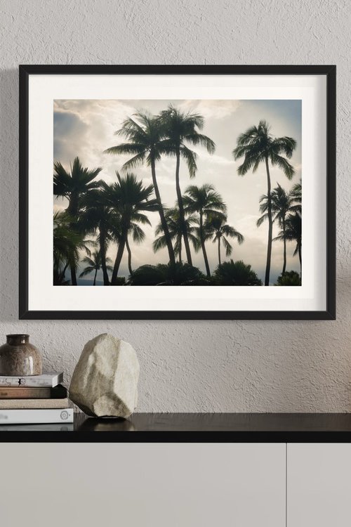 Maui Palms 2.0 by Cutter Cutshaw