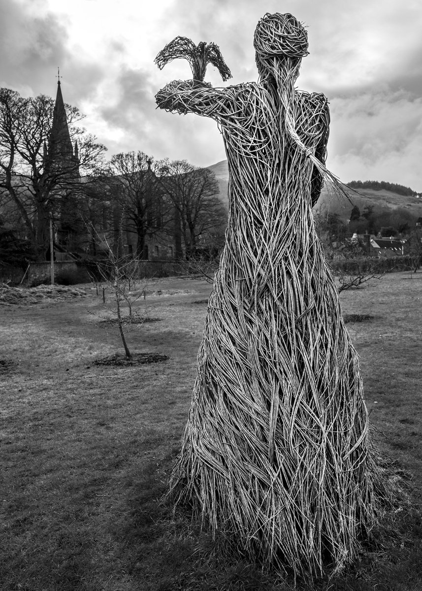 Willow Queen - Falklands Palace Scotland by Stephen Hodgetts Photography