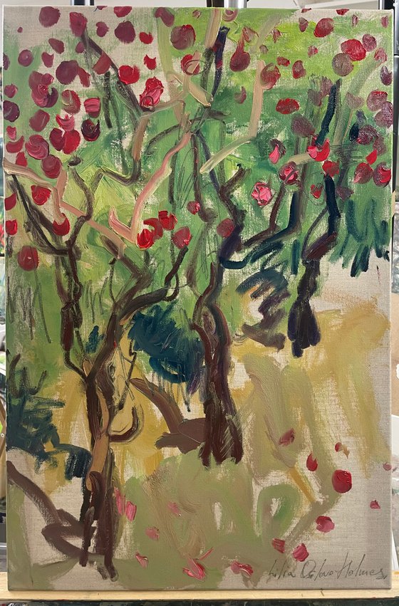 Apple trees