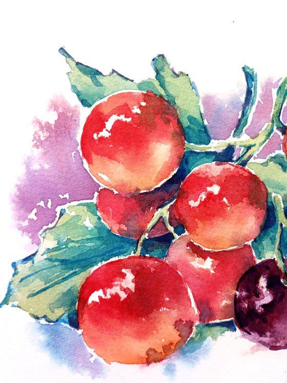 "Currant" from the series of watercolor illustrations "Berries"