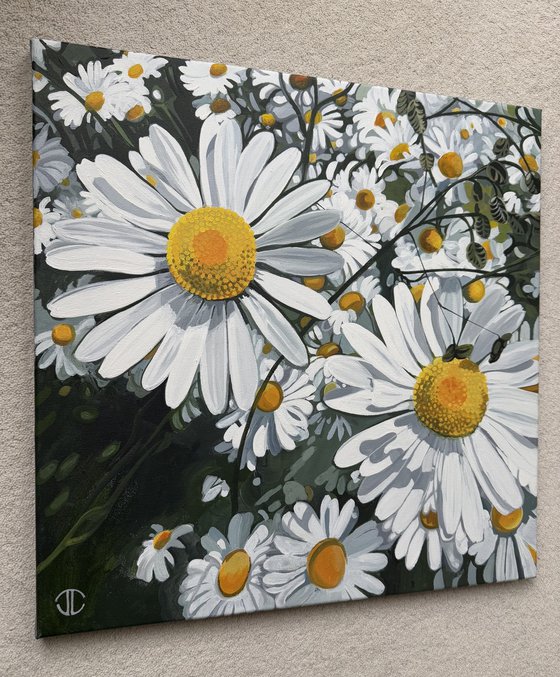 Bright Daisies