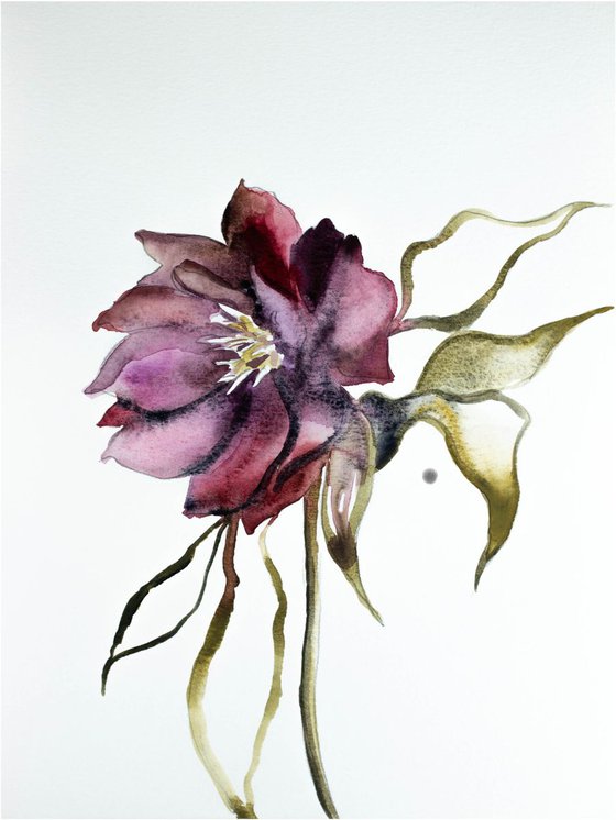 Hellebore No. 5