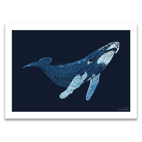 Humpback Whale - Stippling Illustration