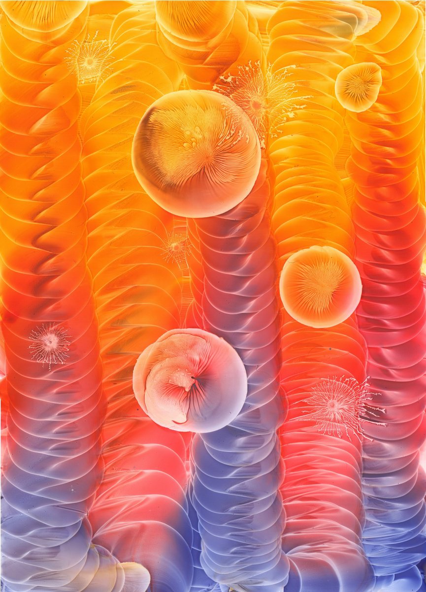 Expressive Abstract Painting By Danguole Serstinskaja, 13 X 18, Swirls In The Light, Original Artwork