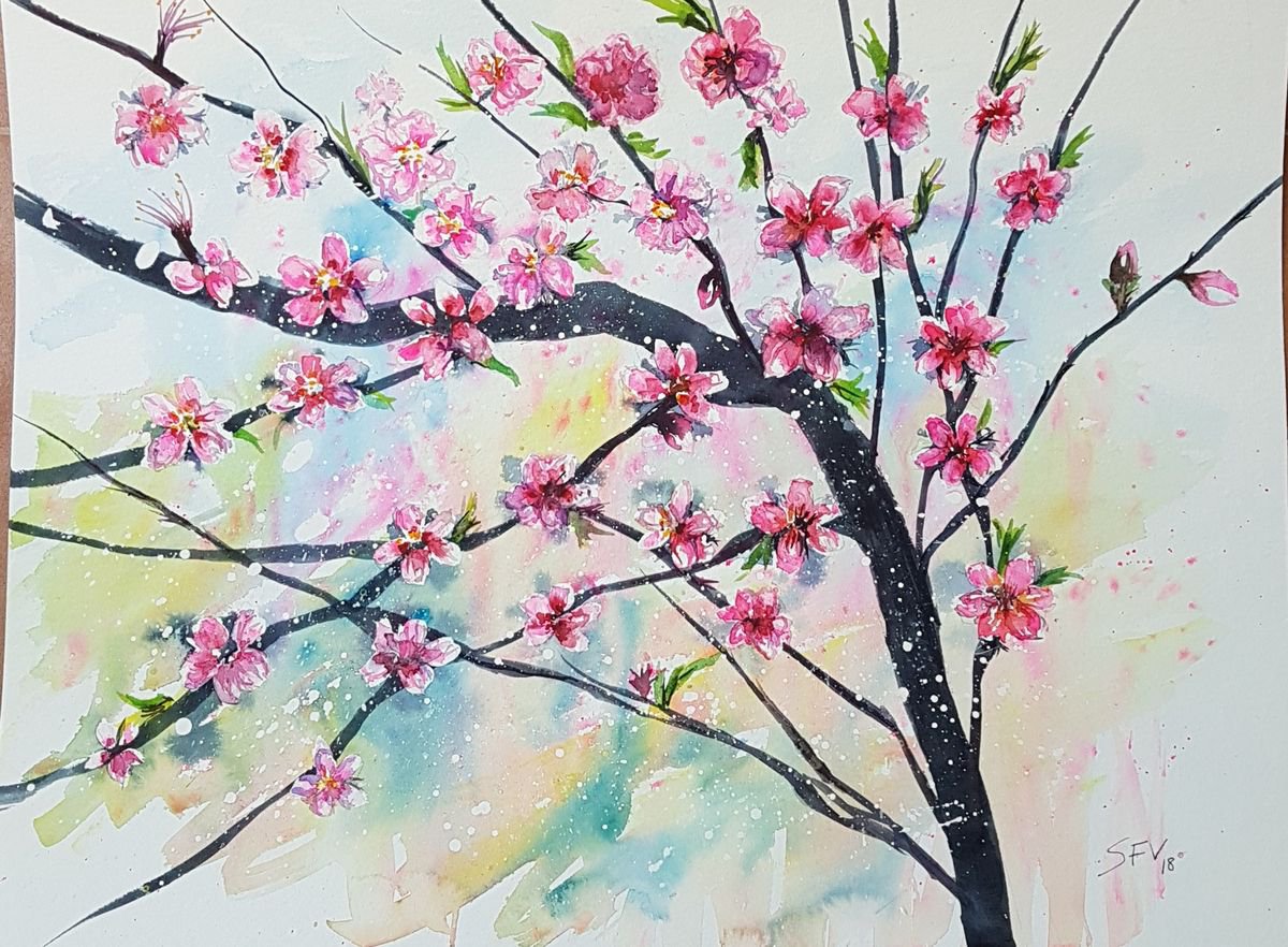 Saturn peach tree by Silvia Flores Vitiello