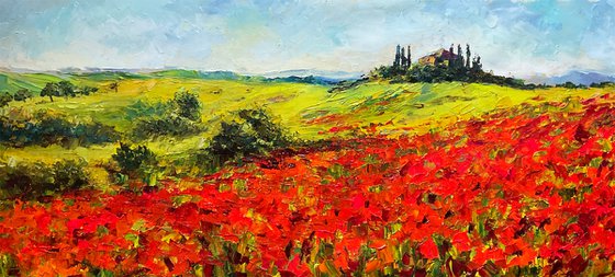 Vivid poppies. Tuscany