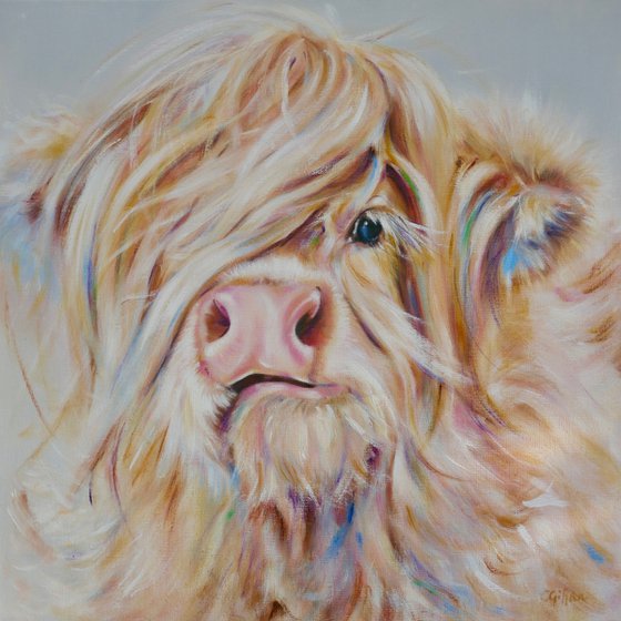 Munro - original oil Highland Cow, canvas on board, 20 x 20" unframed