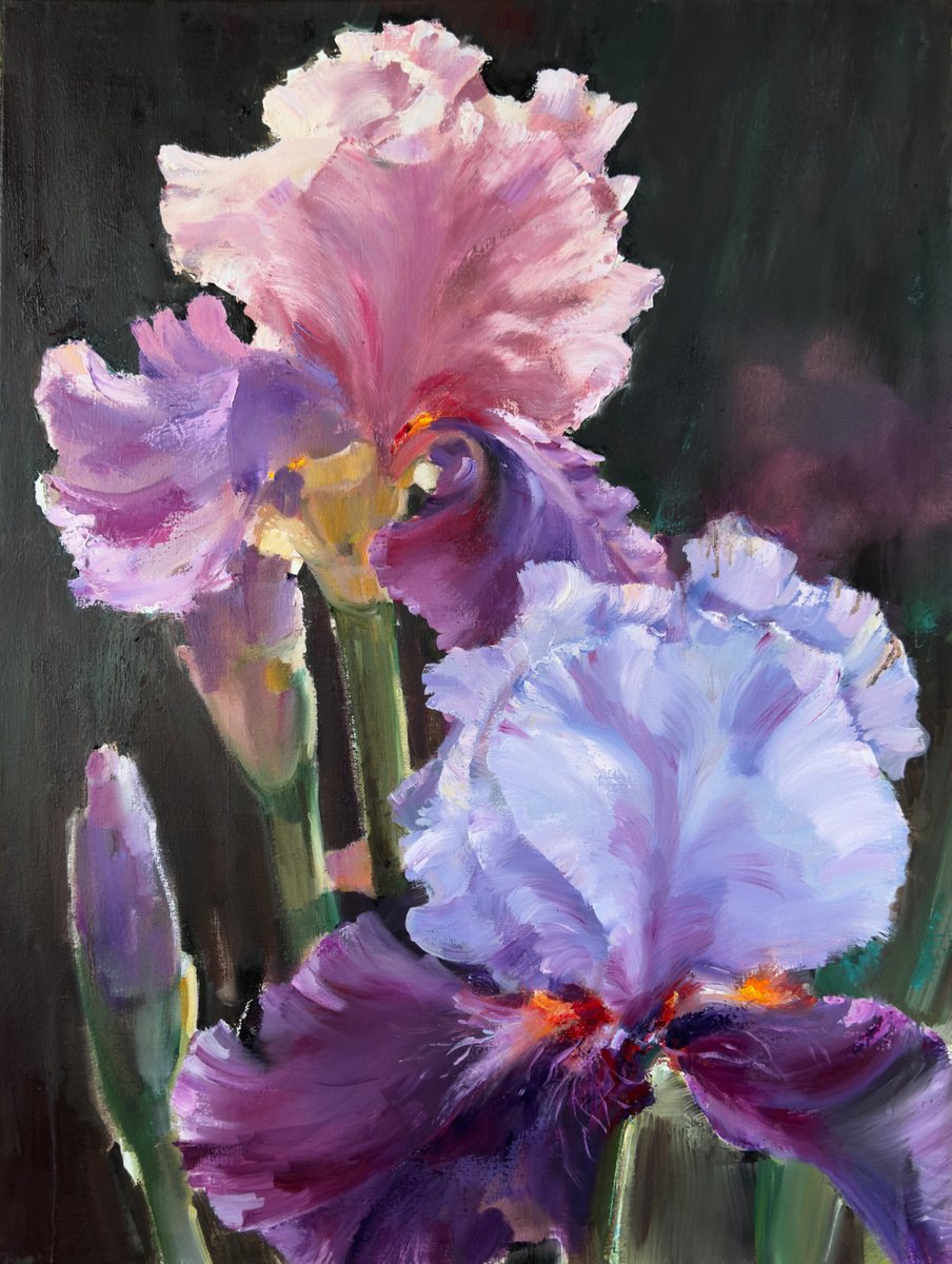Expressive Oil Painting , Luminous Irises By Olha Laptieva, 24 X 32, Artwork For Sale On Artfinder