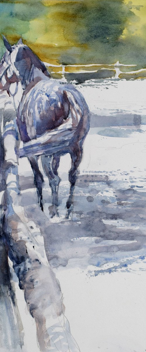 Horse in the yard  2 by Goran Žigolić Watercolors