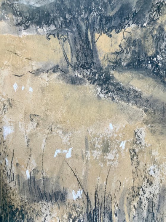 Silent Fields, Moving Air