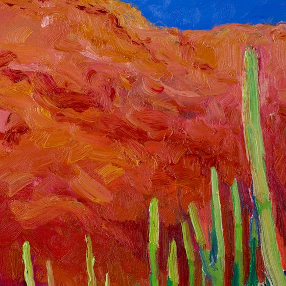 Landscape with a Cactus