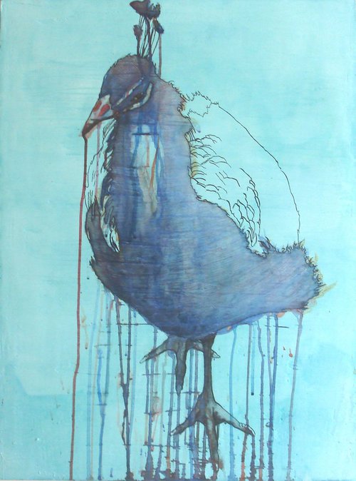 Peacock by Ricardo Machado