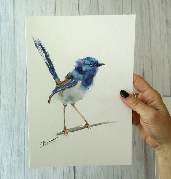 Wrens - triptych