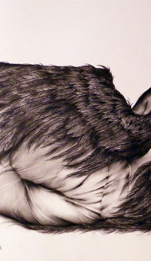 Angels Never Know #3 by David Kofton