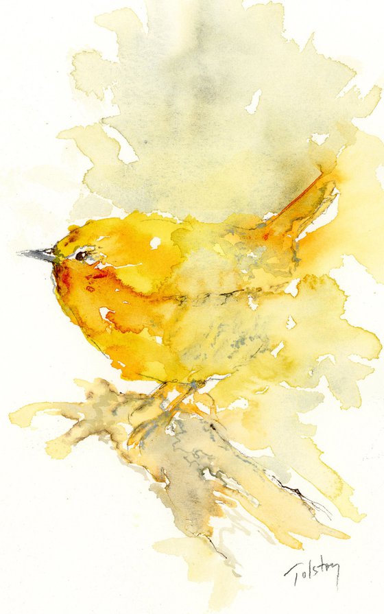 Wren