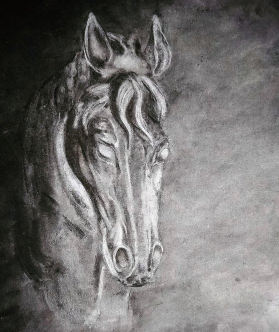 Study of a horse head