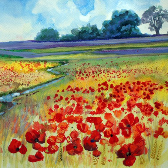 Field of poppies