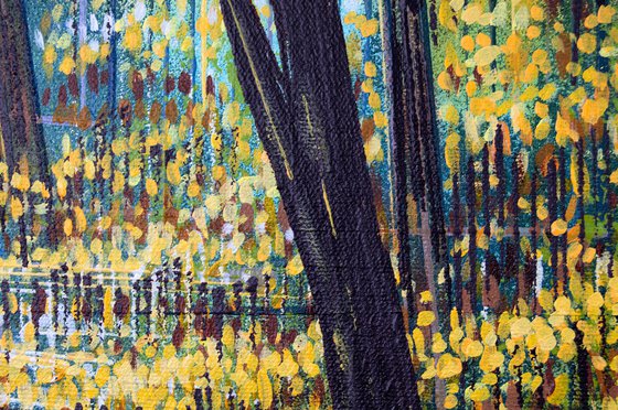Light Through Autumn Trees