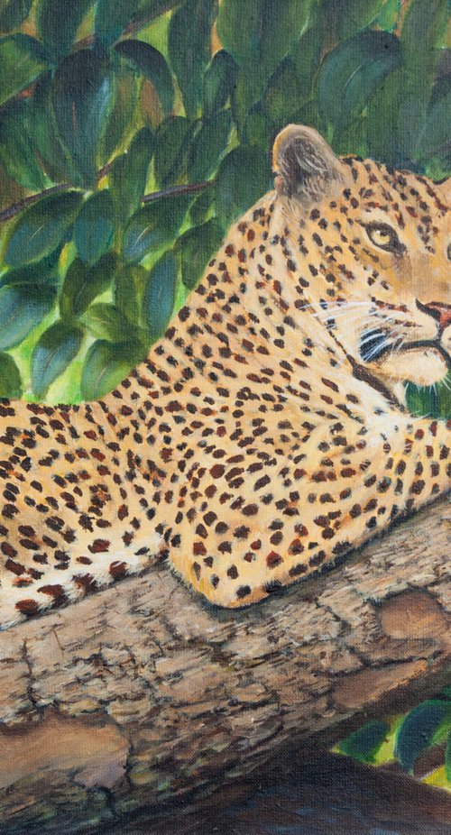 Leopard in tree by Norma Beatriz Zaro