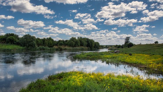 Ukrainian landscape(summer idyll)