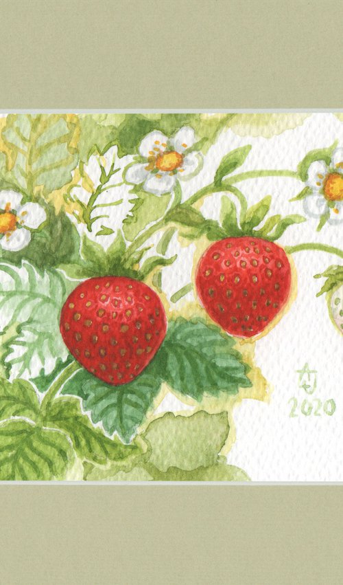 Spring is coming - Blooming strawberries by Jolanta Czarnecka