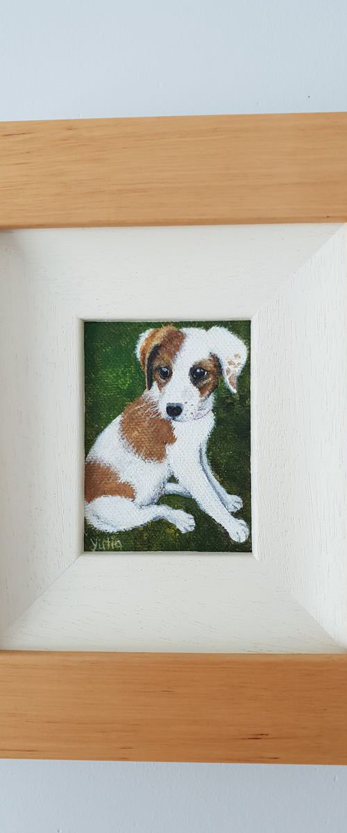 Puppy. Miniature pet portraight by Yulia Pristupa
